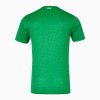 Maillot de Supporter Irlande Domicile 2024-25 Pour Homme